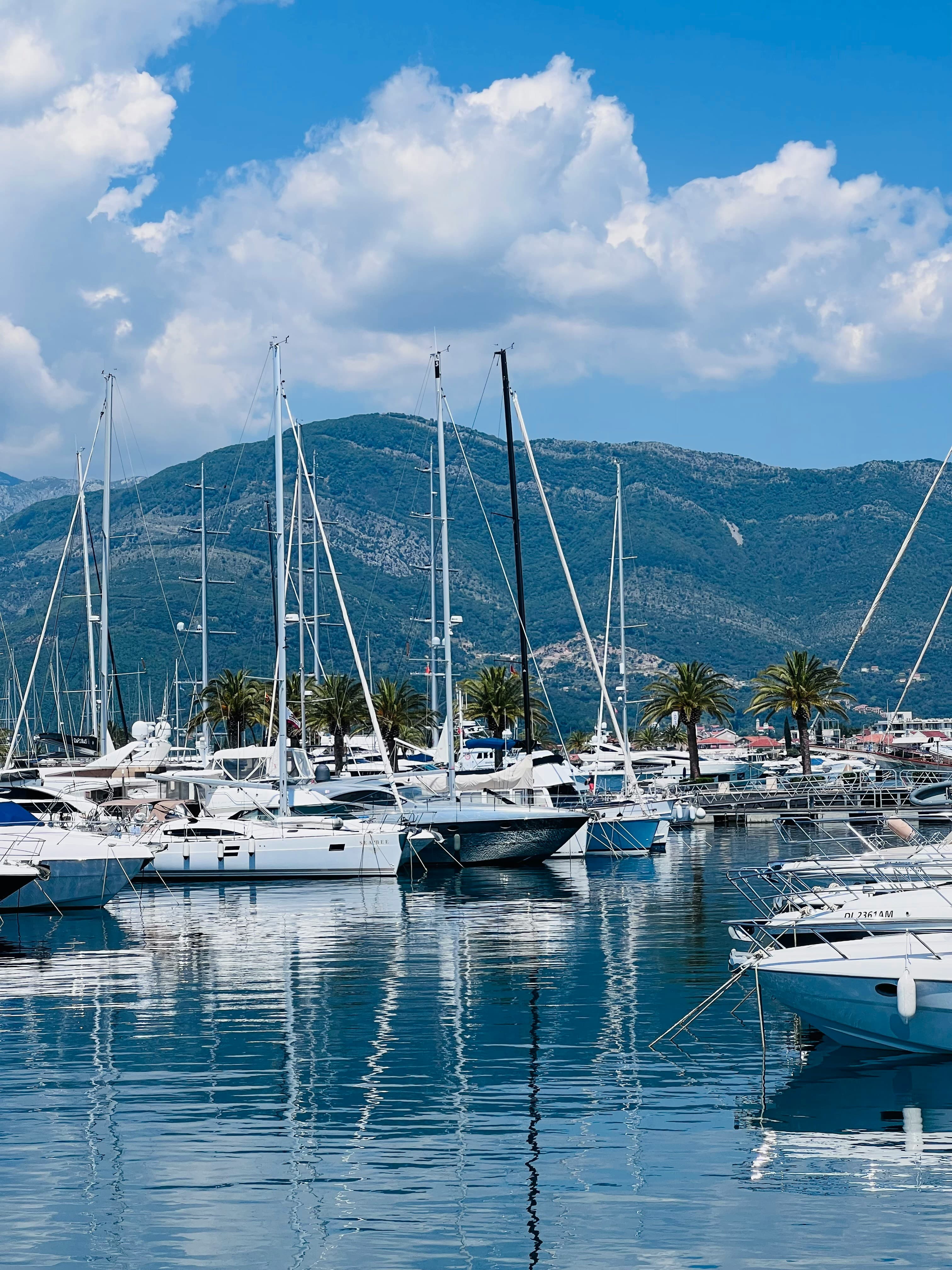 Tivat